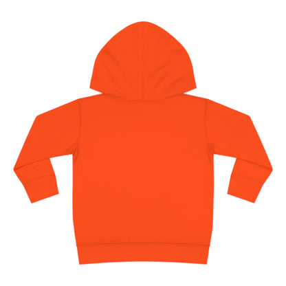 Toddler Pullover Fleece  BEEN FRESH Hoodie