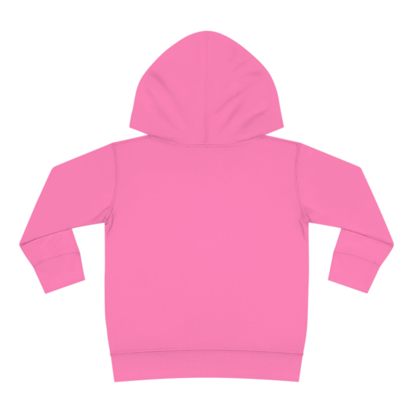 Toddler Pullover Fleece  BEEN FRESH Hoodie