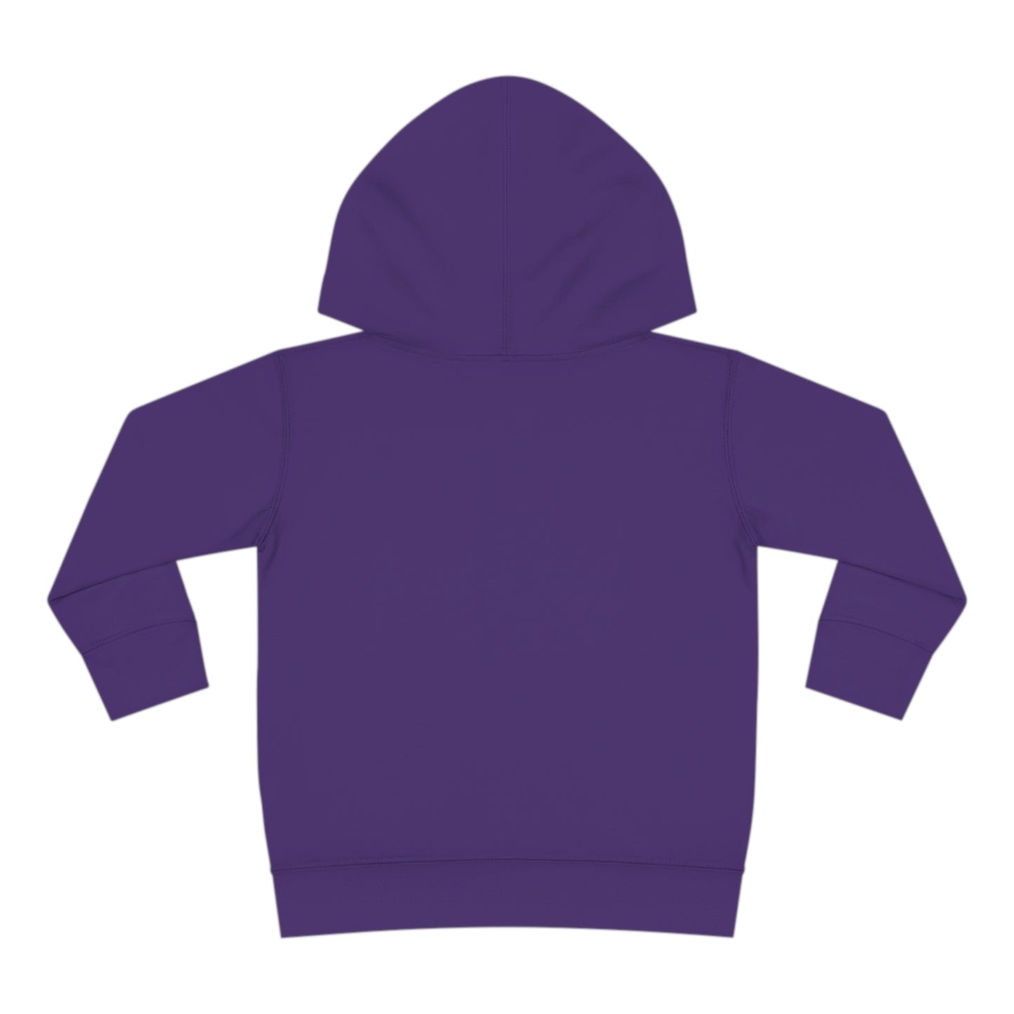 Toddler Pullover Fleece  BEEN FRESH Hoodie